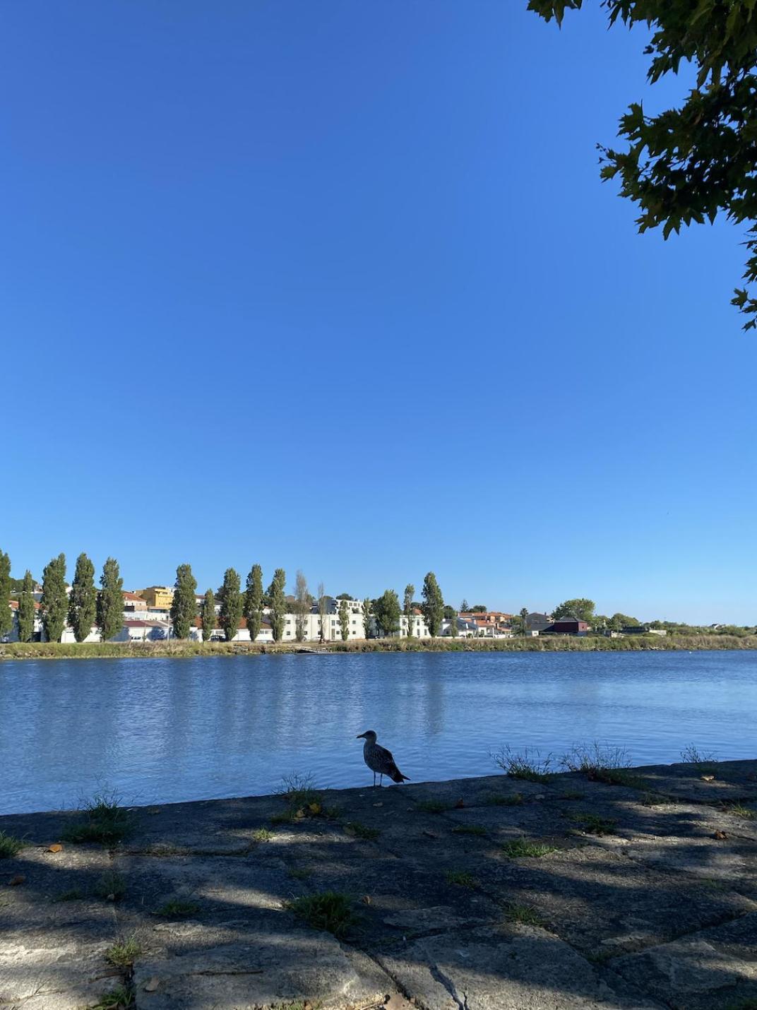 Apartament Praceta Vila Do Conde Bagian luar foto